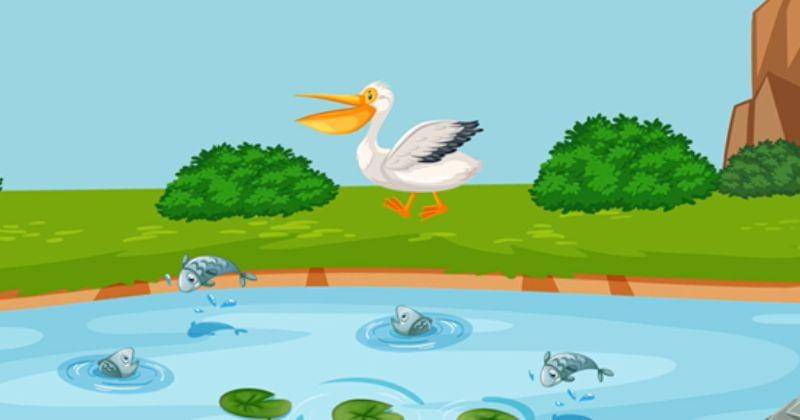 Youtube.com/ Big Star